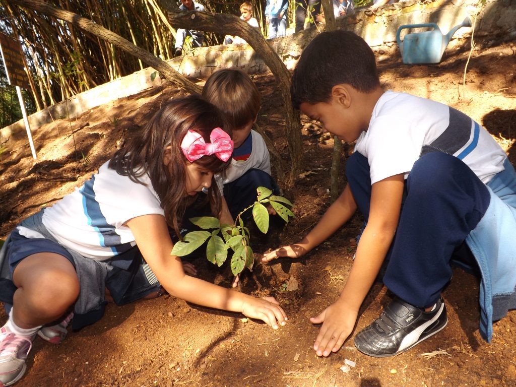 Confira-as-5-principais-ações-de-sustentabilidade