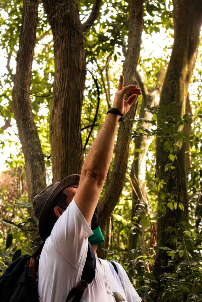 Durante o mês de outubro, professores da rede particular e pública pagam meia no Parque Bondinho
