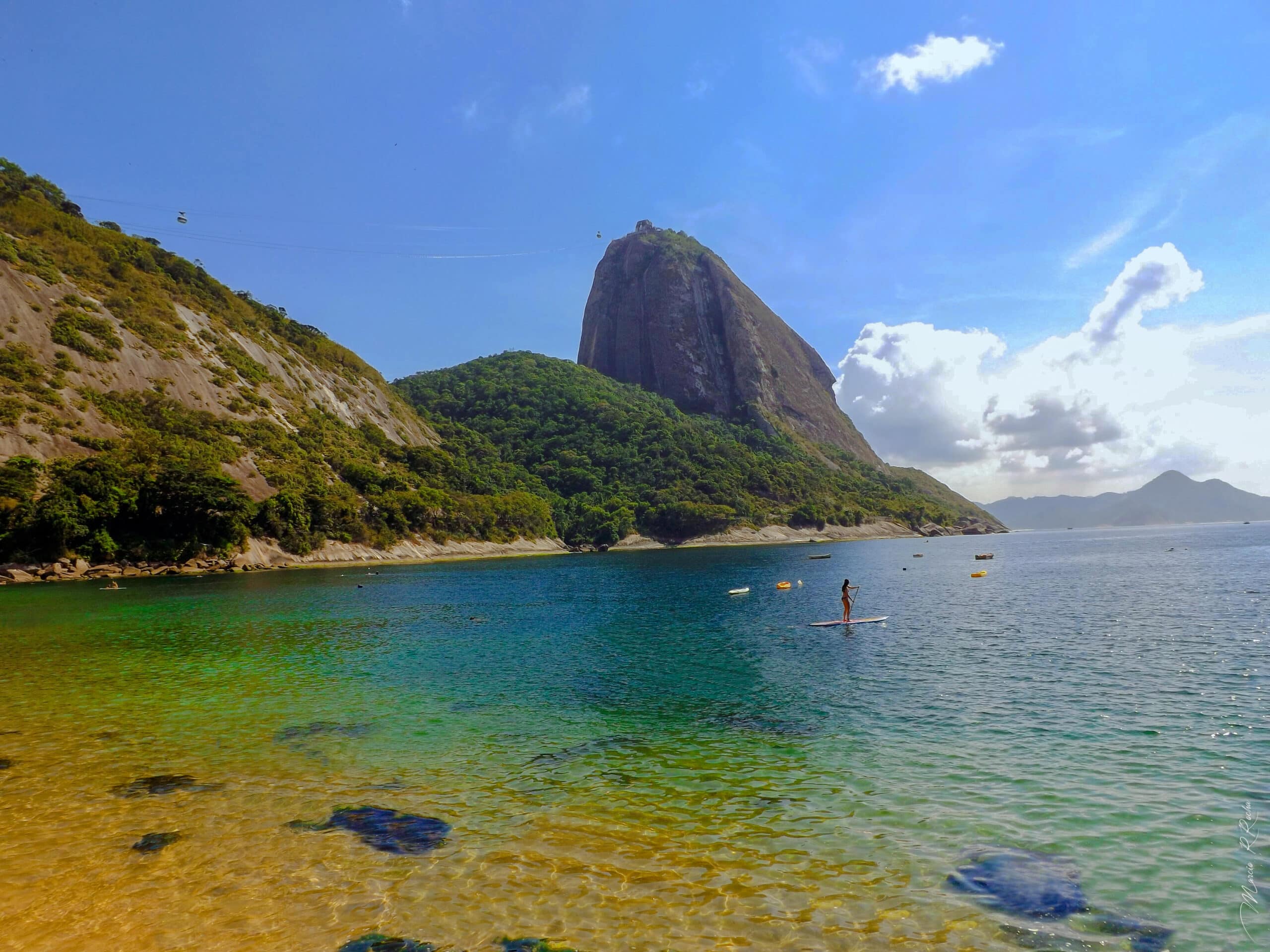 Eco Circuito: descubra os Projetos de Ações Ambientais do Parque Bondinho!