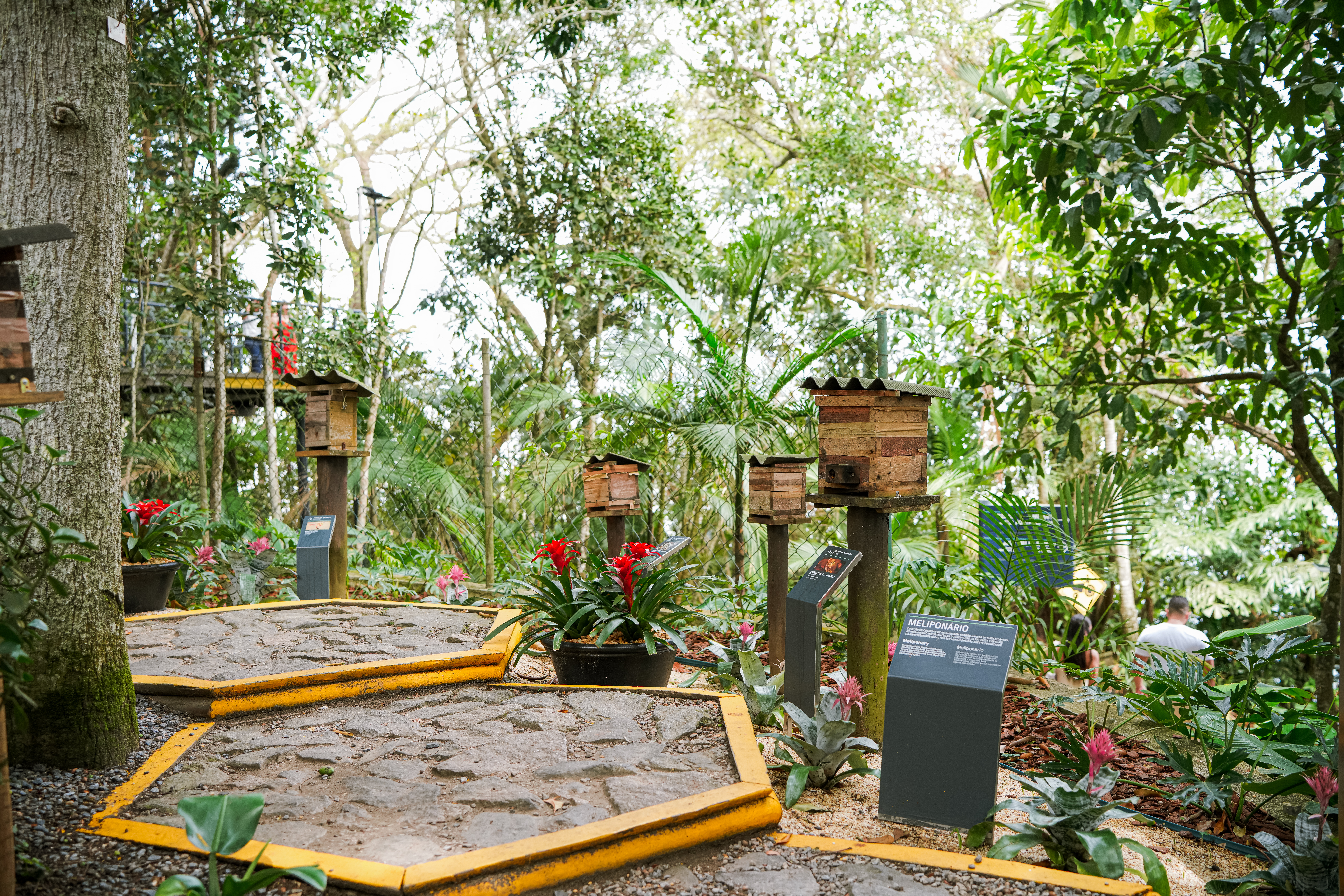 Jardim do Mel, lar das abelhas nativas no Parque Bondinho Pão de Açúcar