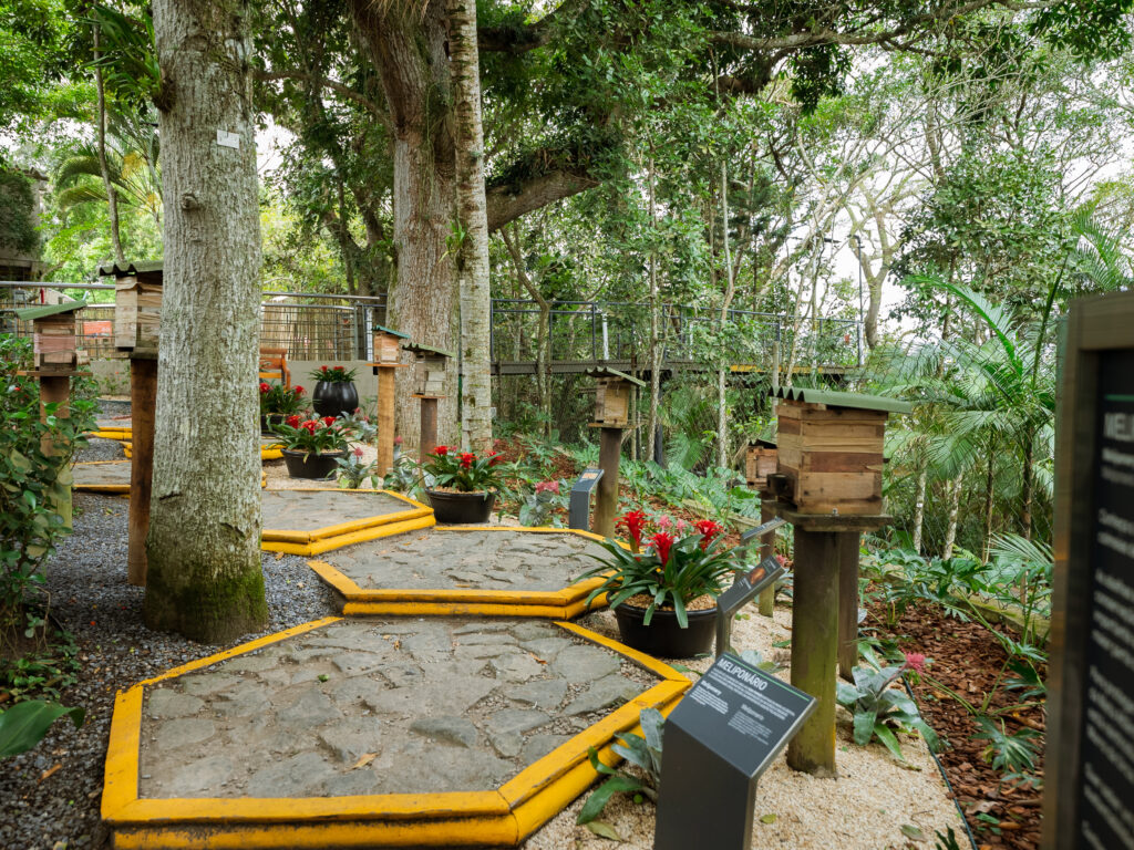 Jardim do mel no Parque Bondinho Pão de Açúcar