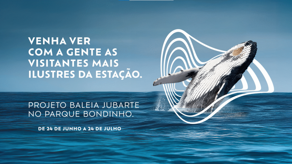 Baleia Jubarte no Parque Bondinho Pao de Açucar