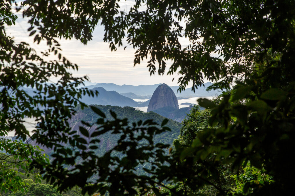 Experiência Completa no Pão de Açúcar