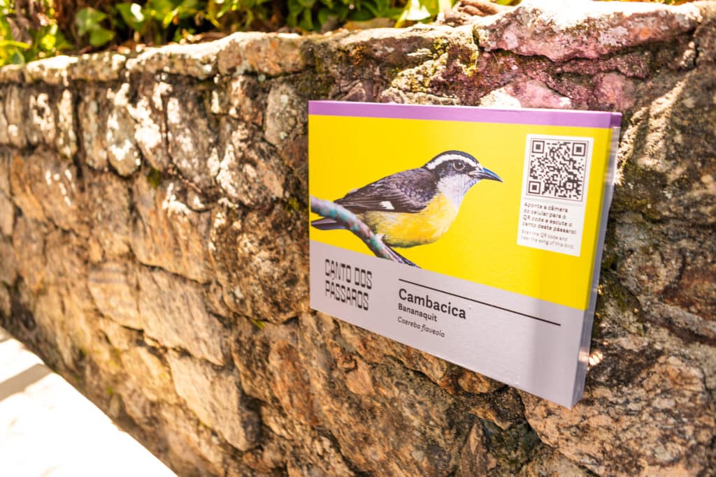 Projeto Maravilha recebe obras de Anna Bella Geiger no topo do Pão de Açúcar