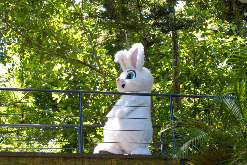 Atividades da Páscoa nas Alturas